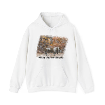 Basset Hound in our Fall Attitude Hoodie with kangaroo pocket and drawstring.